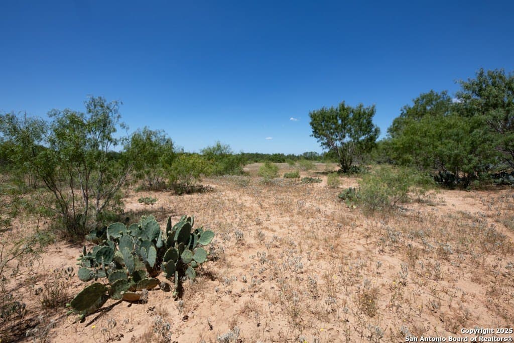 71.5 acres in Bexar County - photo 37