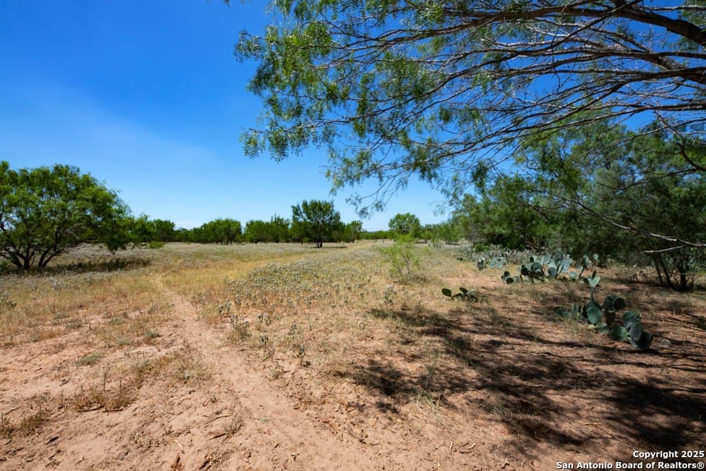 71.5 acres in Bexar County - photo 27