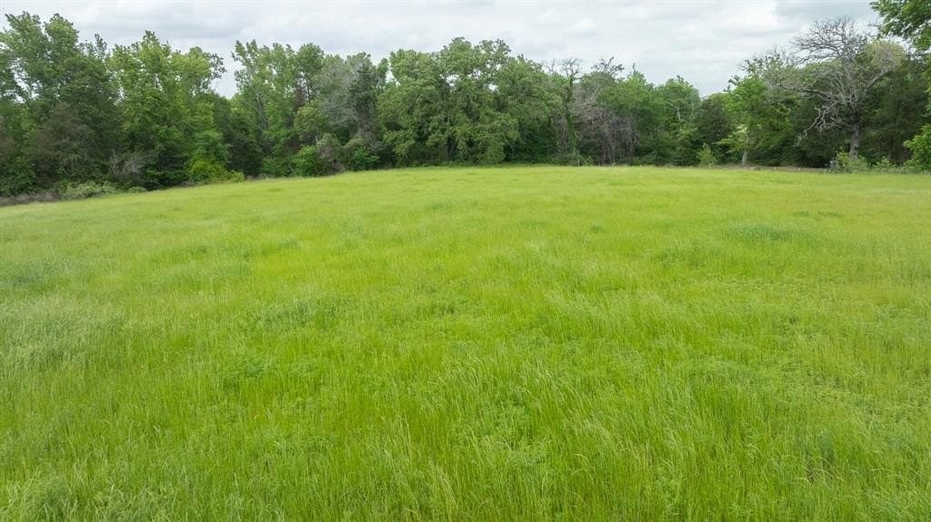 110 acres in Anderson County - photo 14