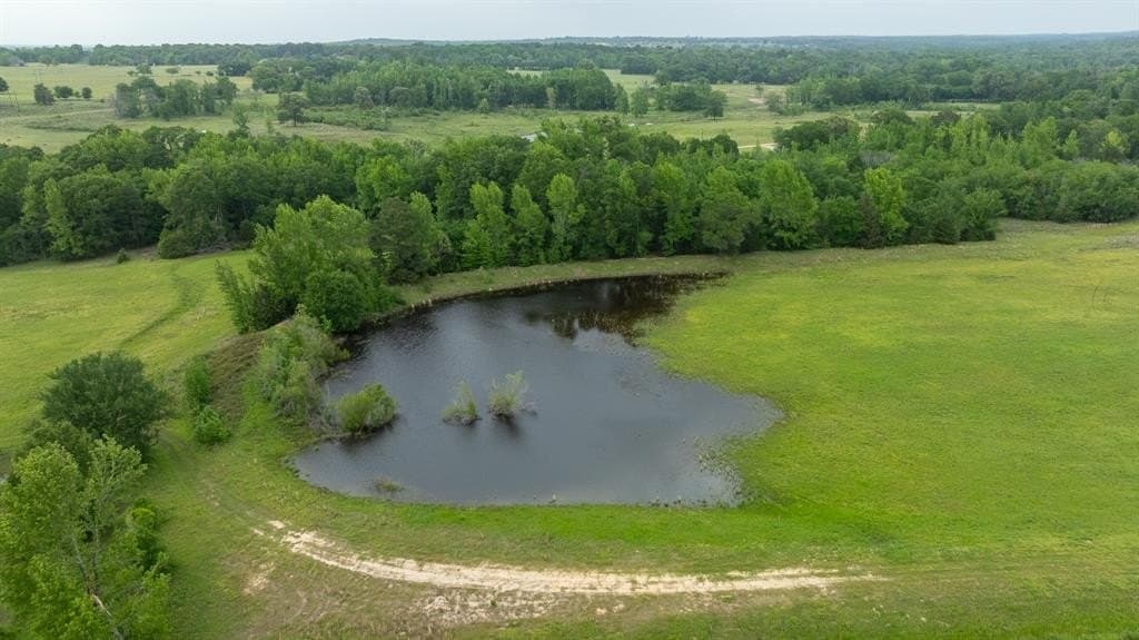 110 acres in Anderson County - photo 13
