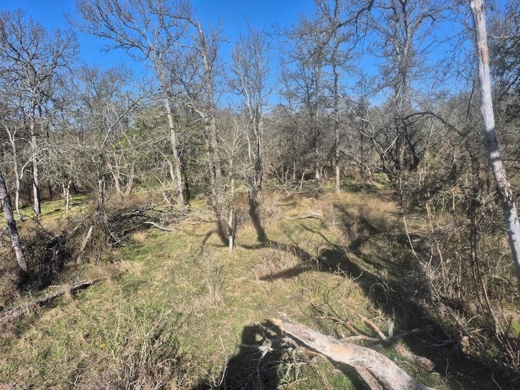 6.5 acres in Falls County - photo 9