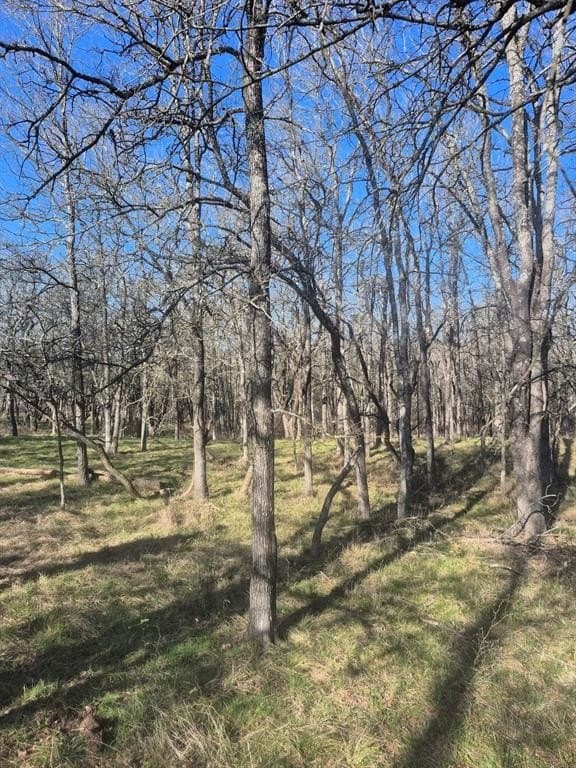 6.5 acres in Falls County - photo 5