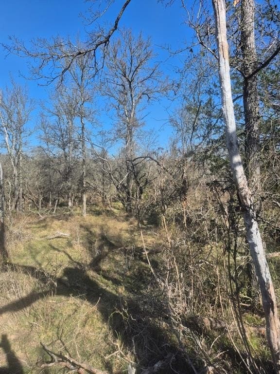 6.5 acres in Falls County - photo 8