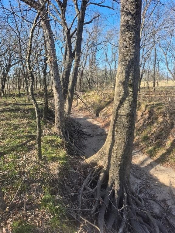 6.5 acres in Falls County - photo 21