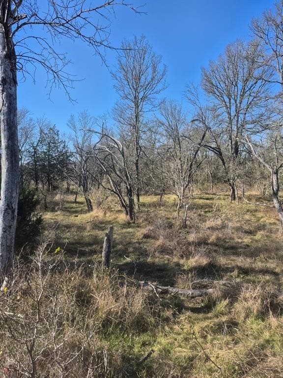 6.5 acres in Falls County - photo 3