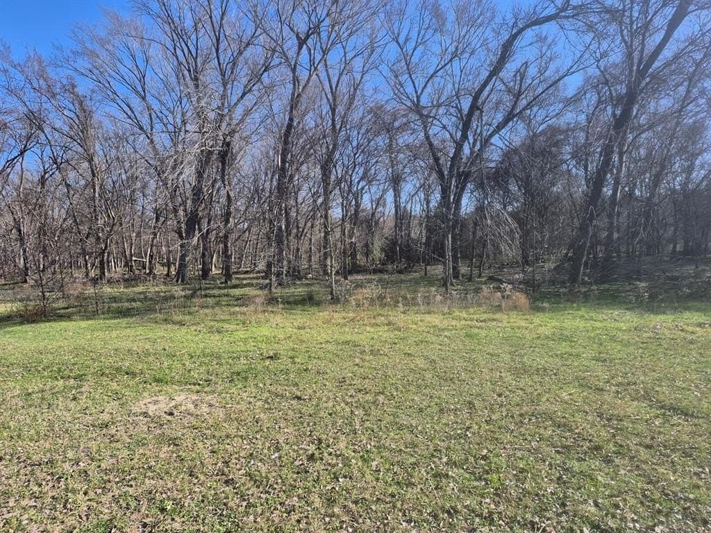 6.5 acres in Falls County - photo 17
