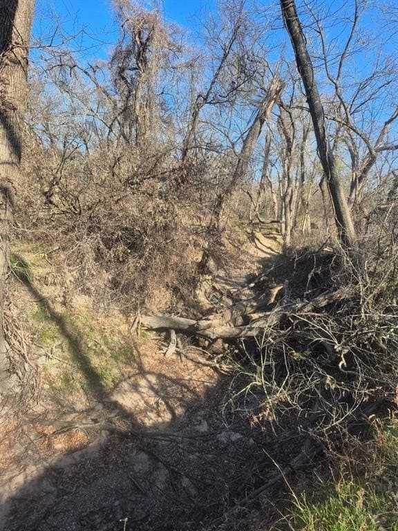 6.5 acres in Falls County - photo 20