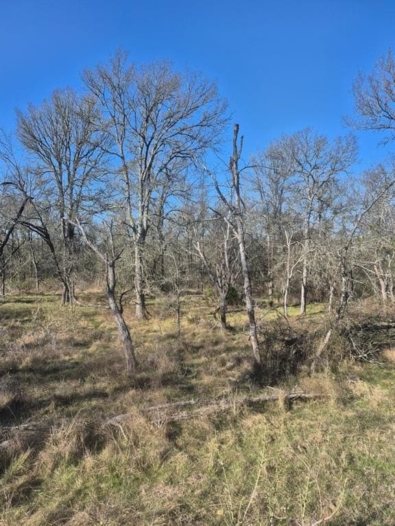 6.5 acres in Falls County - photo 2