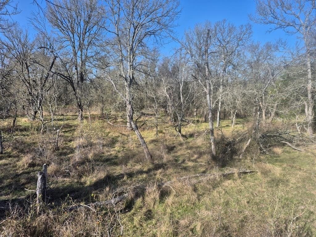 6.5 acres in Falls County - photo 12