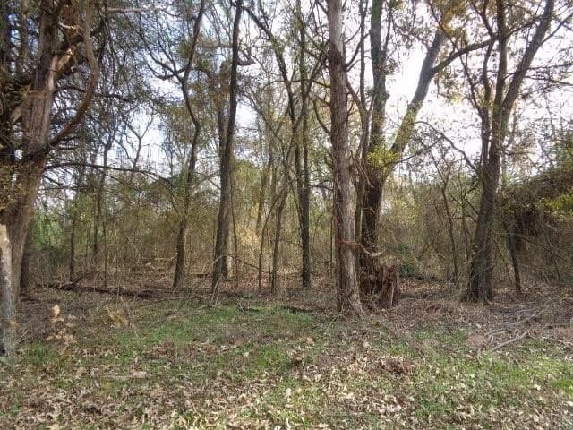 6.74 acres in Wood County - photo 3