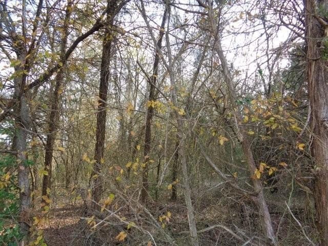6.74 acres in Wood County - photo 5