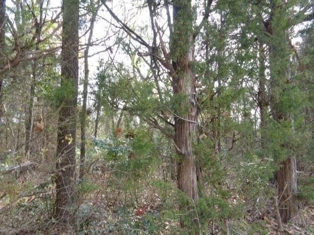 6.74 acres in Wood County - photo 6