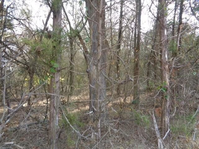 6.74 acres in Wood County - photo 4