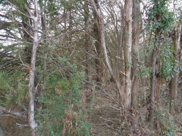 6.74 acres in Wood County - photo 2