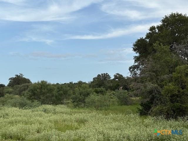 10.25 acres in Bastrop County - photo 5