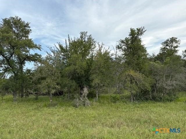 10.25 acres in Bastrop County - photo 7