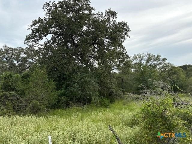10.25 acres in Bastrop County - photo 6