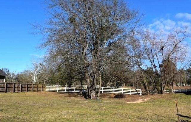 0.24 acres in Titus County - photo 2
