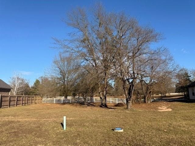 0.24 acres in Titus County - photo 3