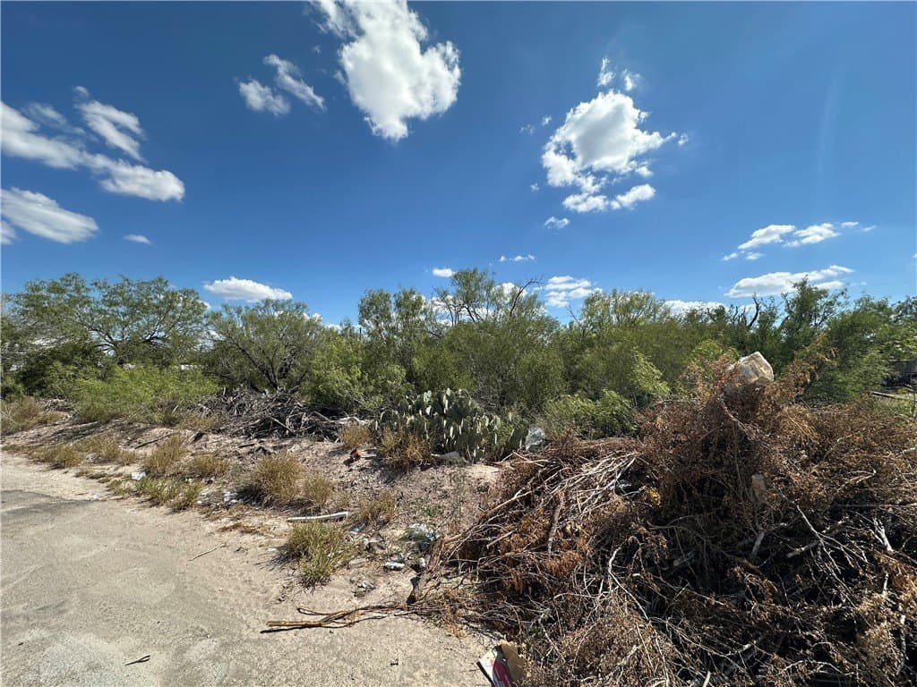 0.51 acres in Duval County - photo 2