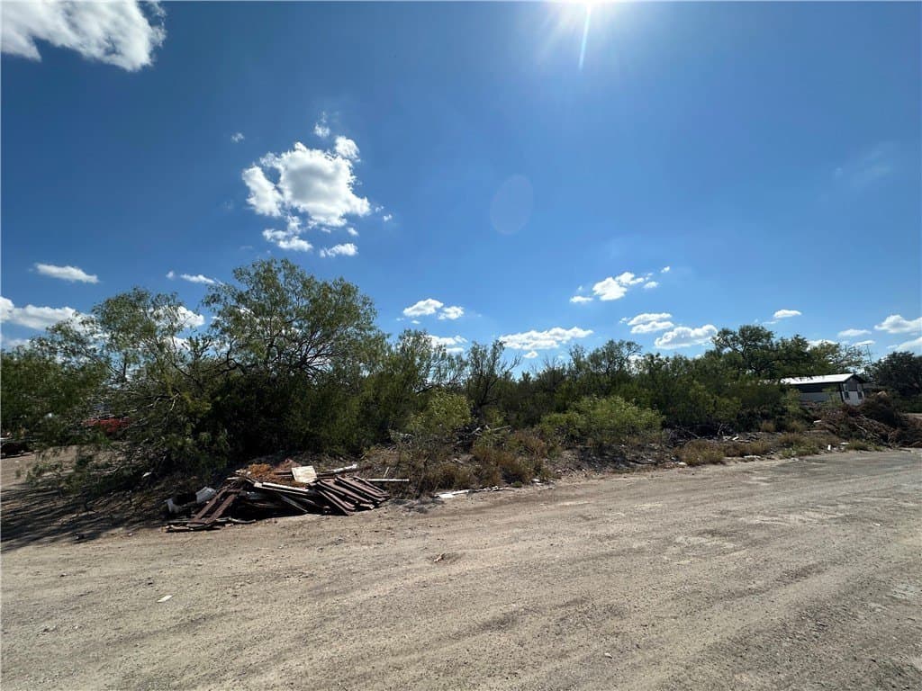 0.51 acres in Duval County - photo 3