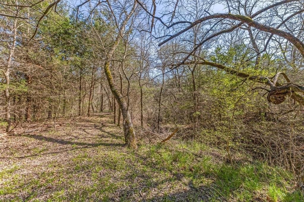 12.57 acres in Collin County - photo 12