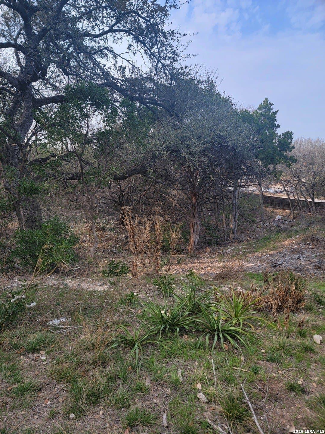 0.44 acres in Bexar County - photo 8