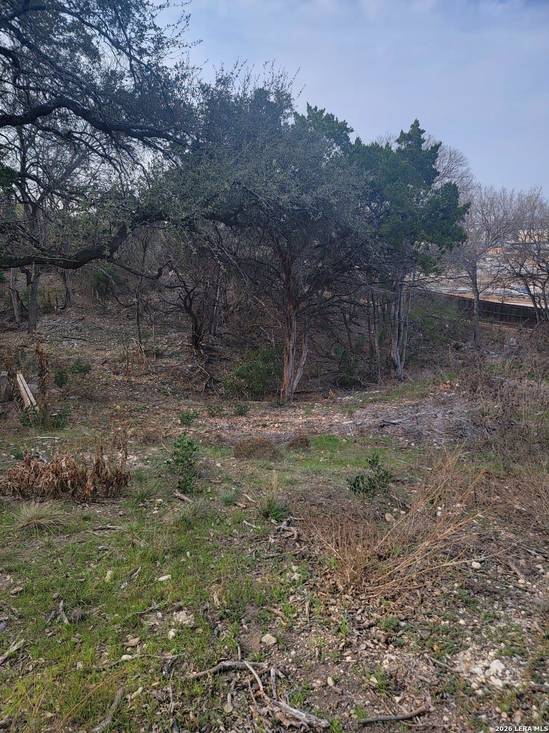 0.44 acres in Bexar County - photo 10