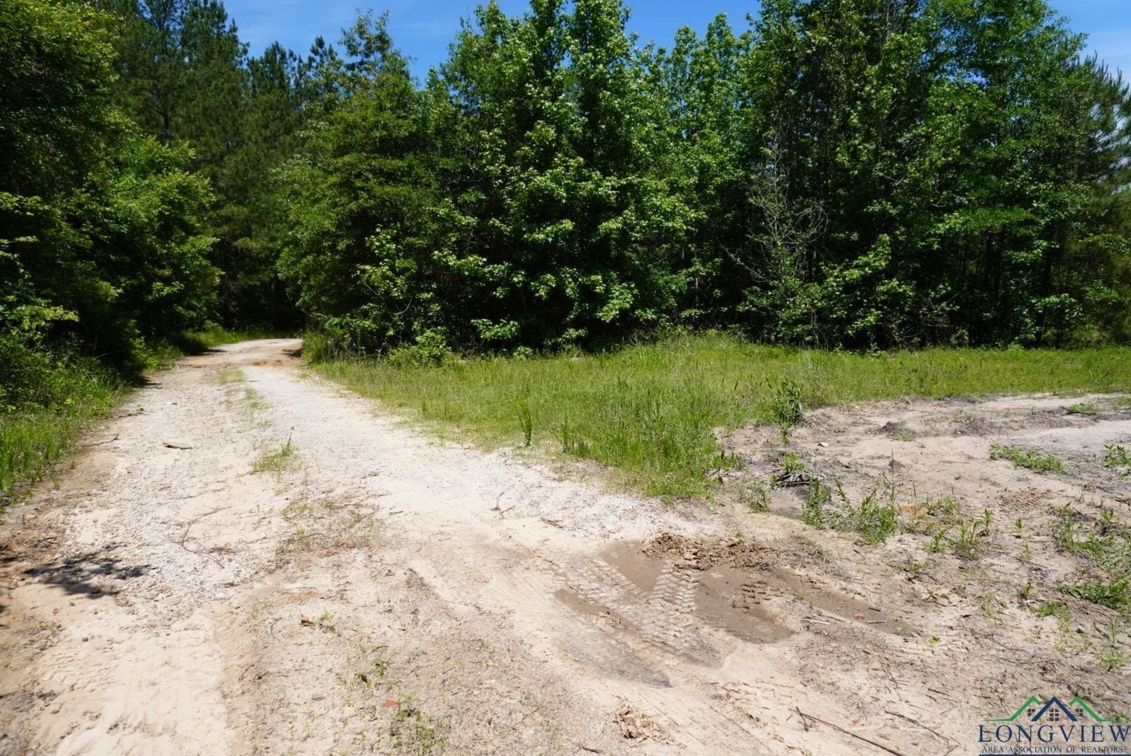 12.72 acres in Marion County - photo 25