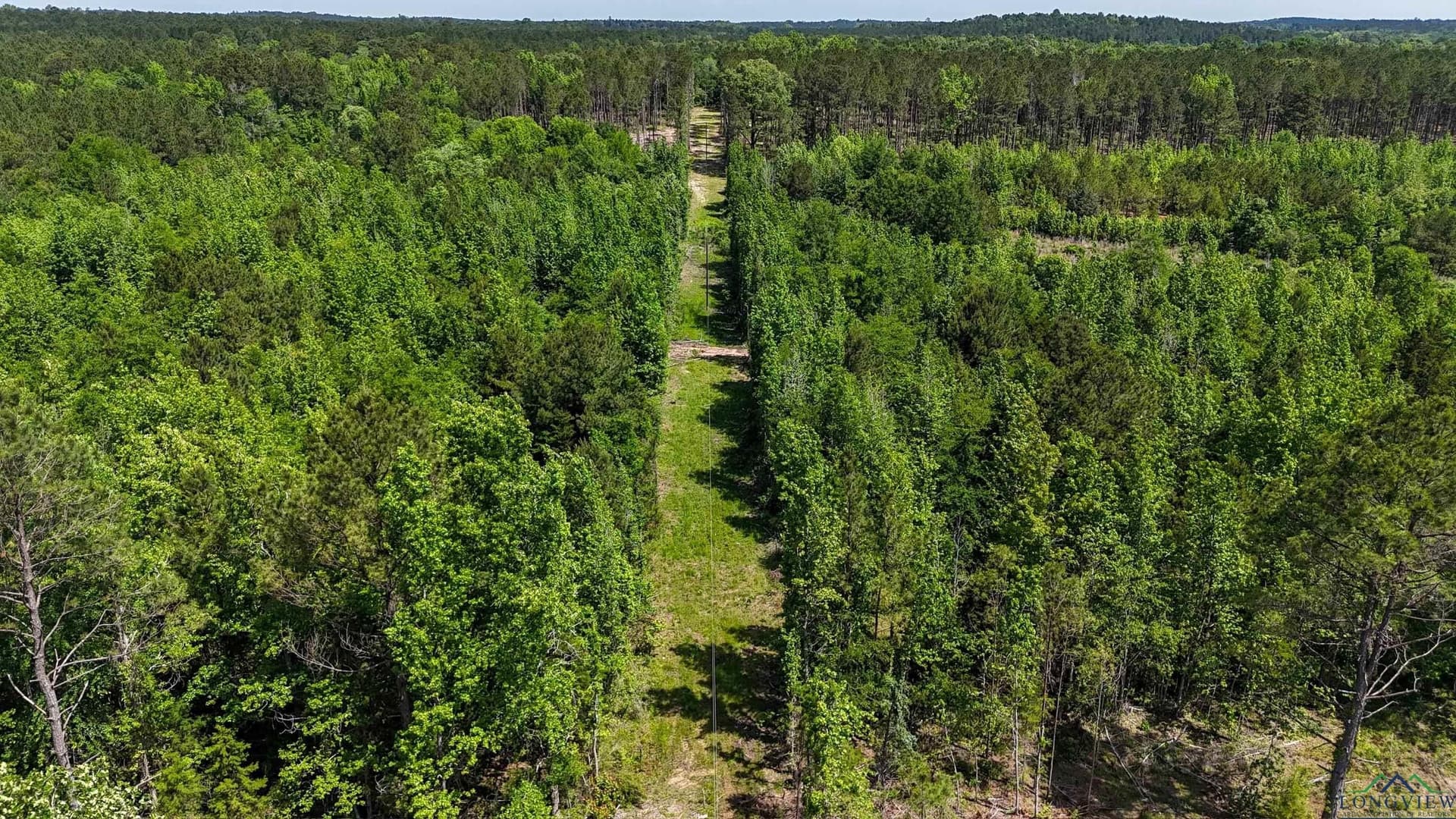 12.72 acres in Marion County - photo 9