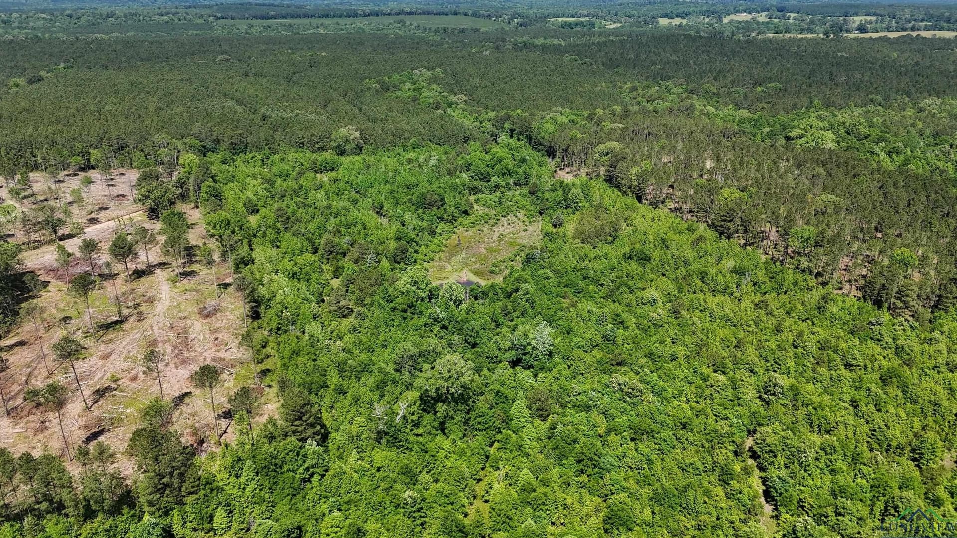 12.72 acres in Marion County - photo 5