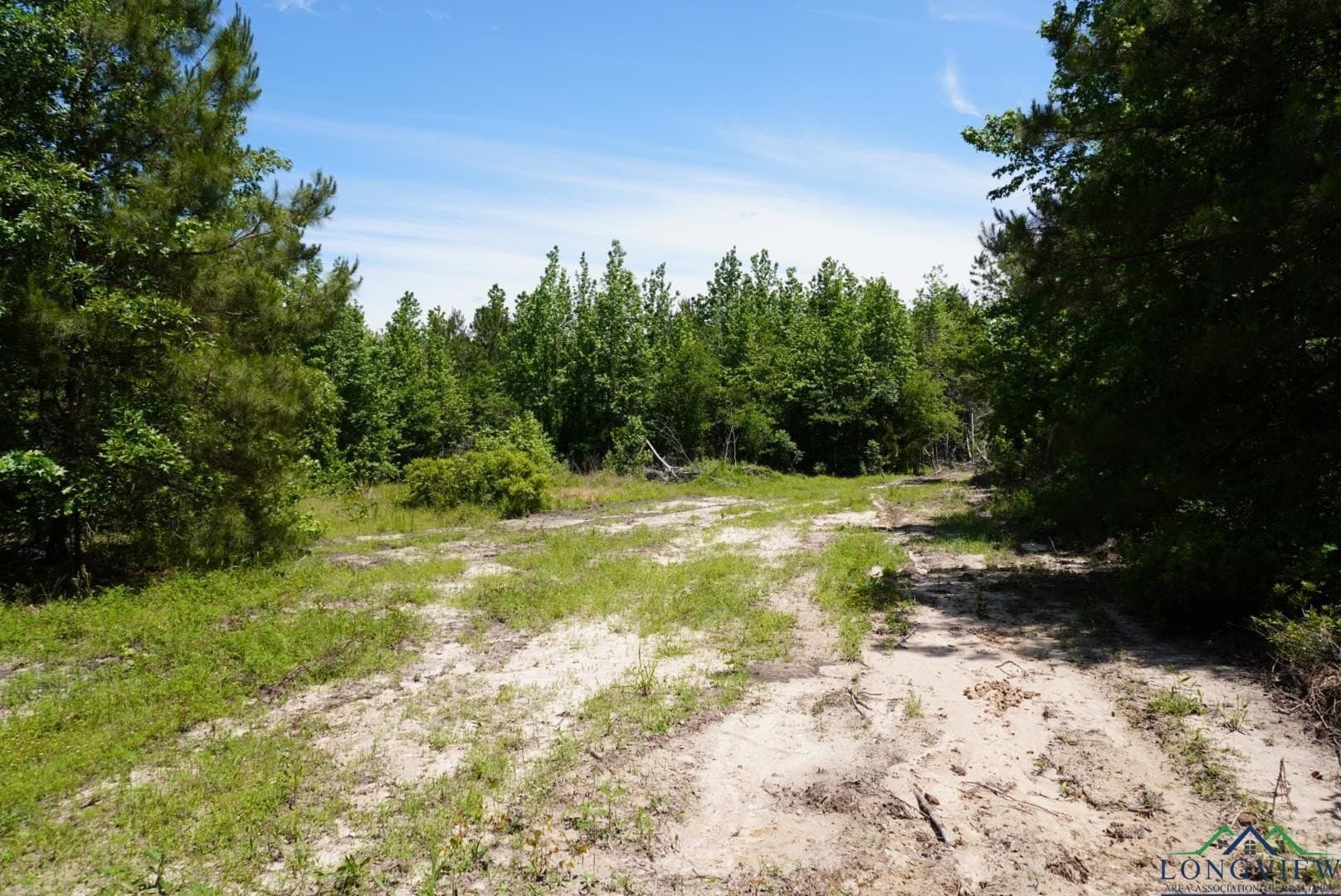 12.72 acres in Marion County - photo 24