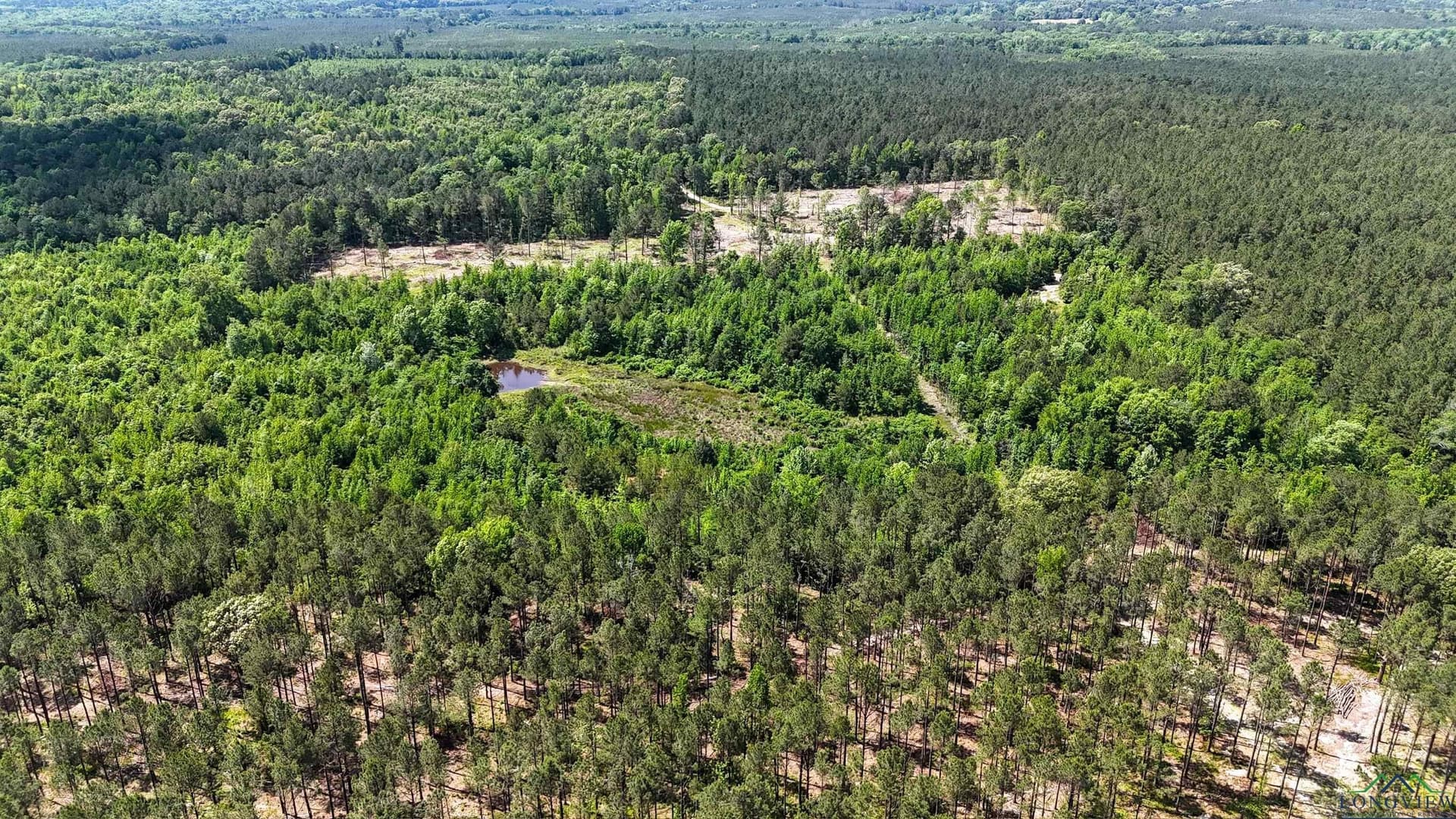 12.72 acres in Marion County - photo 12