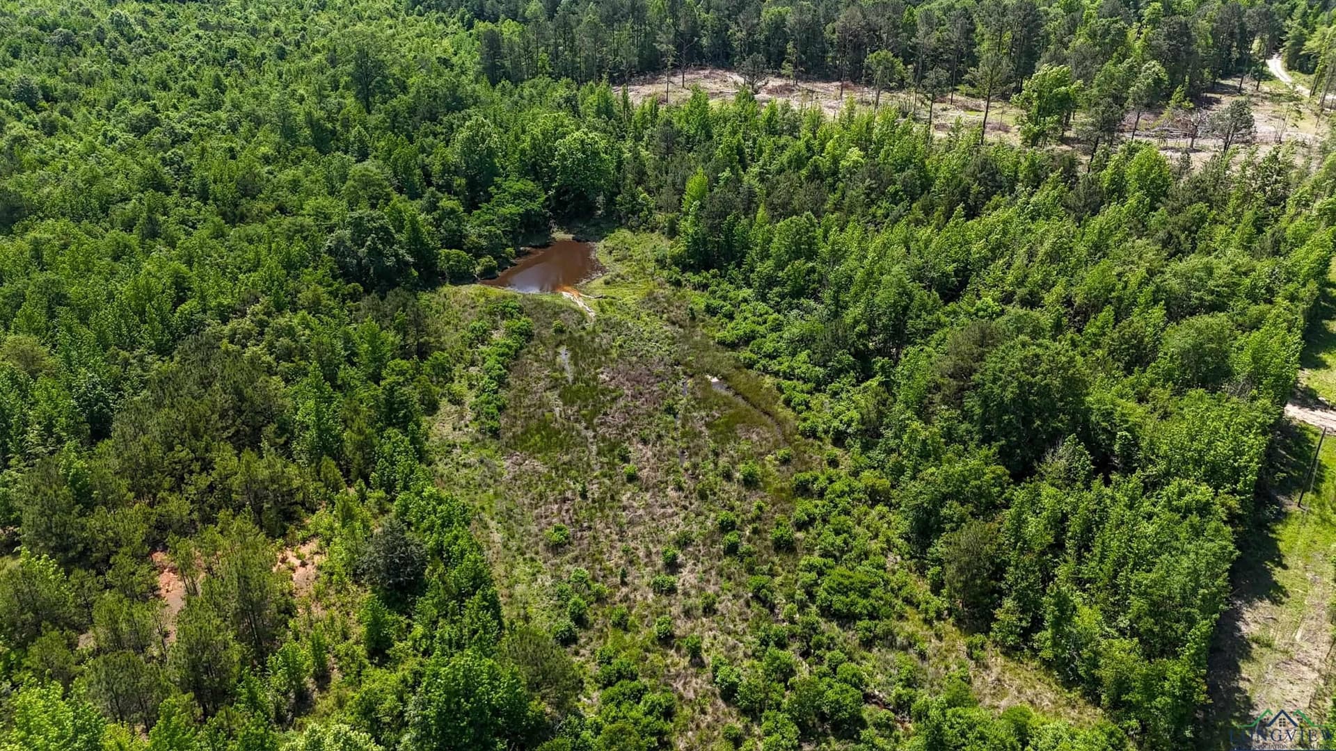 12.72 acres in Marion County - photo 13