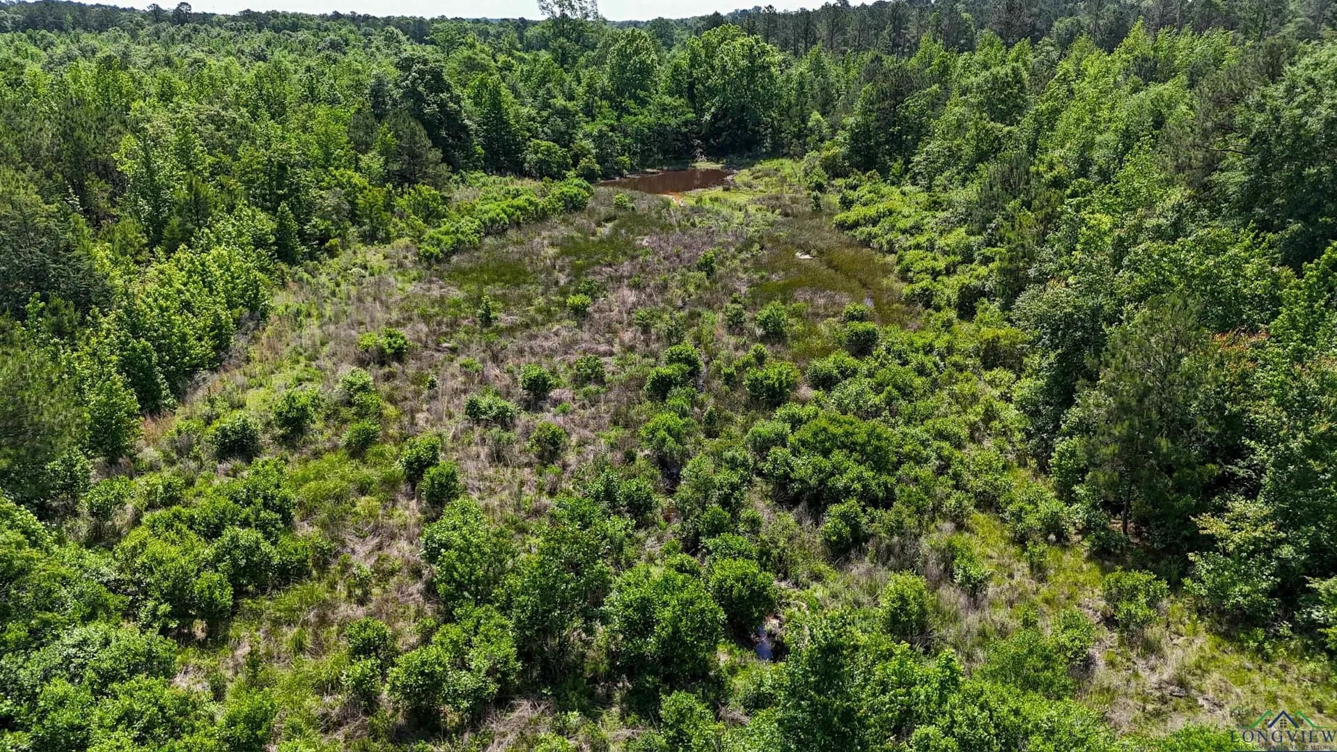12.72 acres in Marion County - photo 14