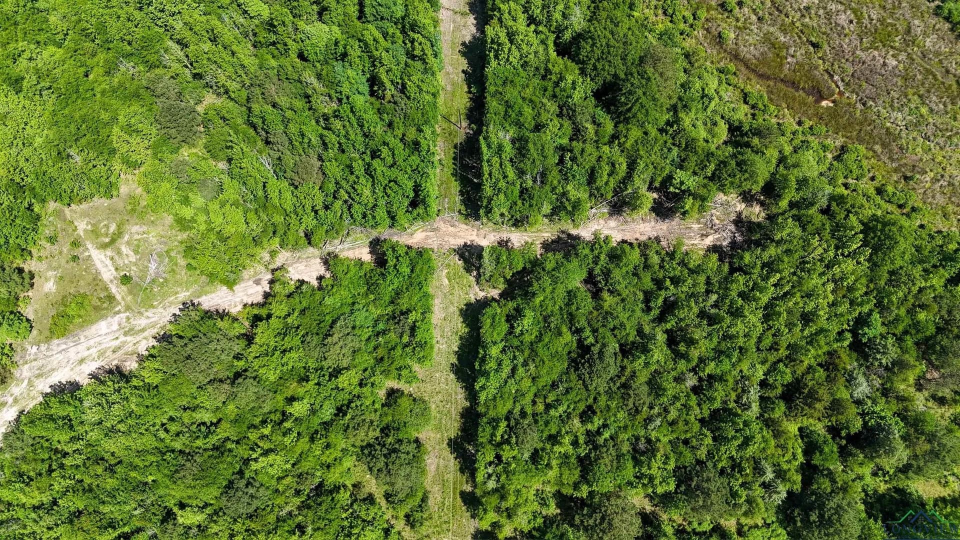 12.72 acres in Marion County - photo 18
