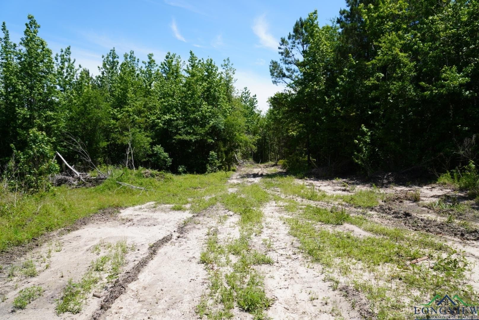 12.72 acres in Marion County - photo 3