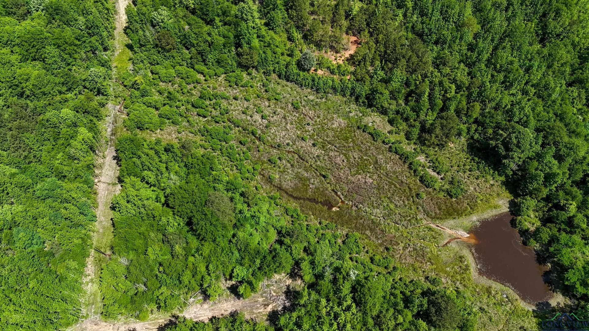 12.72 acres in Marion County - photo 19