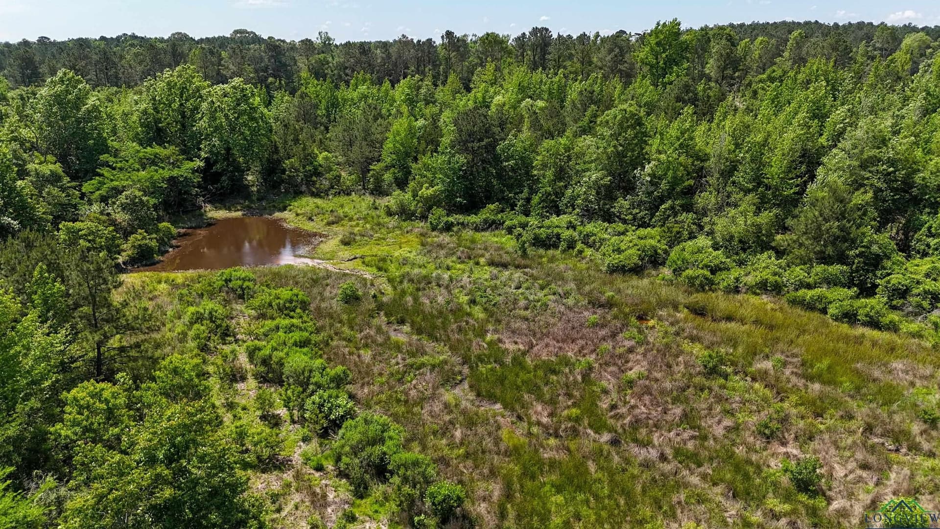 12.72 acres in Marion County - photo 8