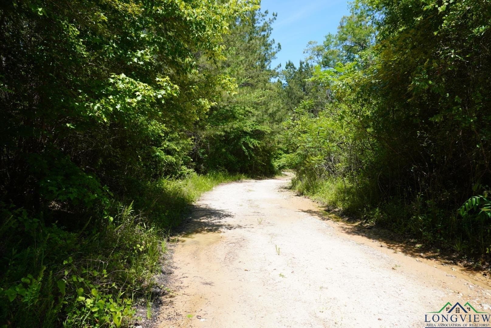 12.72 acres in Marion County - photo 22