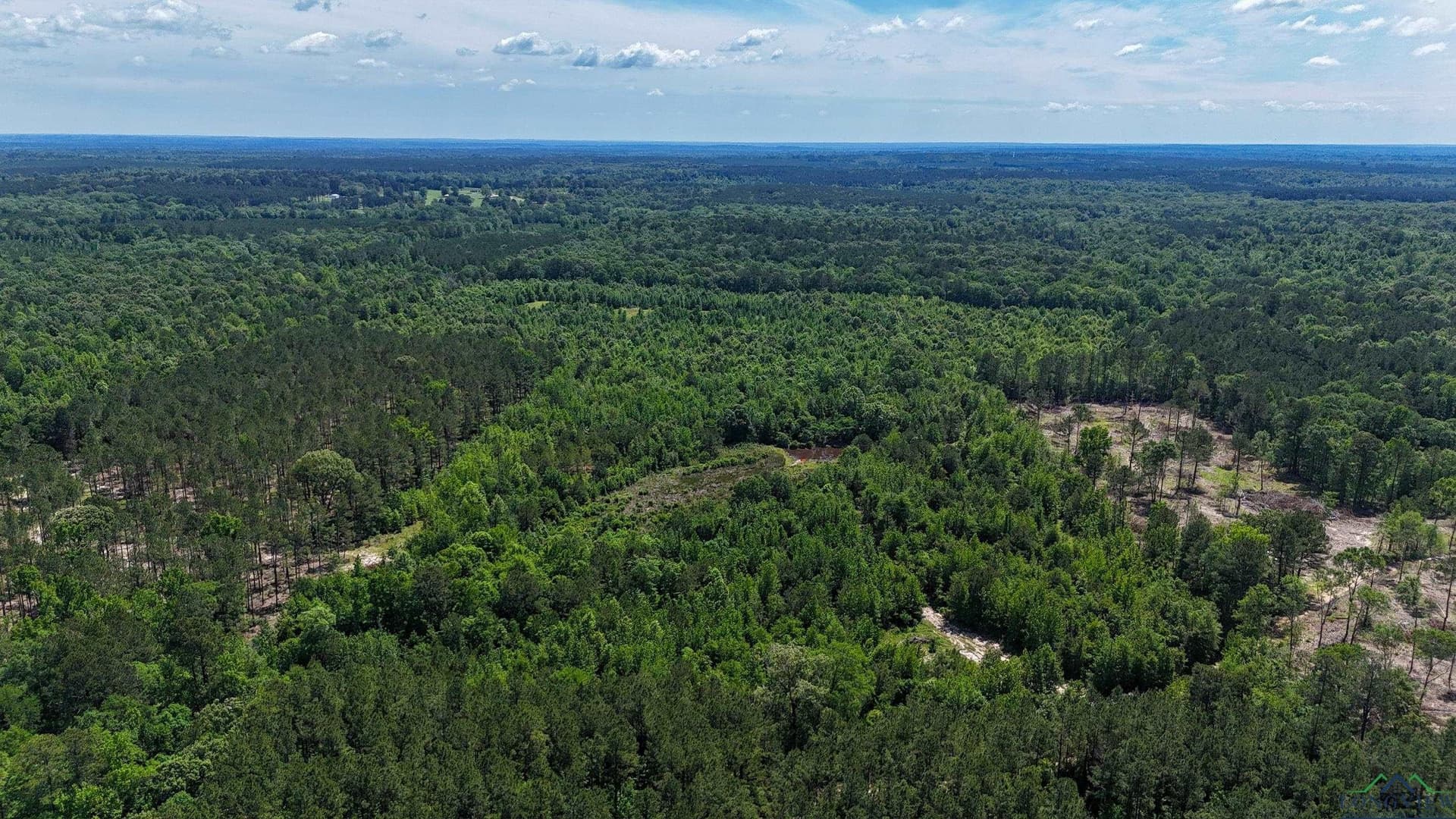 12.72 acres in Marion County - photo 16