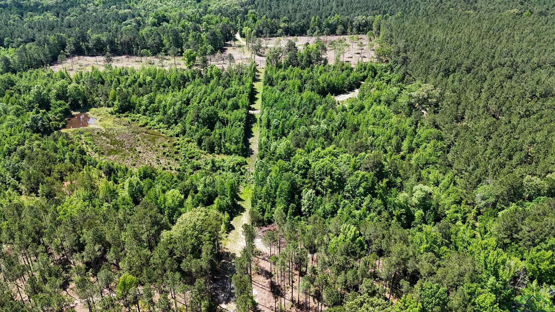 12.72 acres in Marion County - photo 17