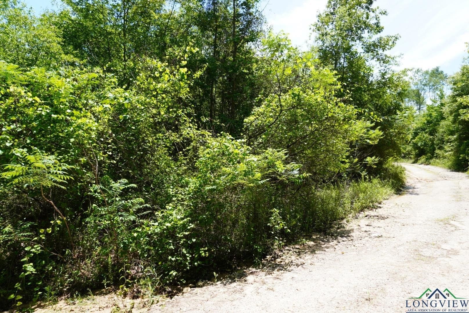 12.72 acres in Marion County - photo 23