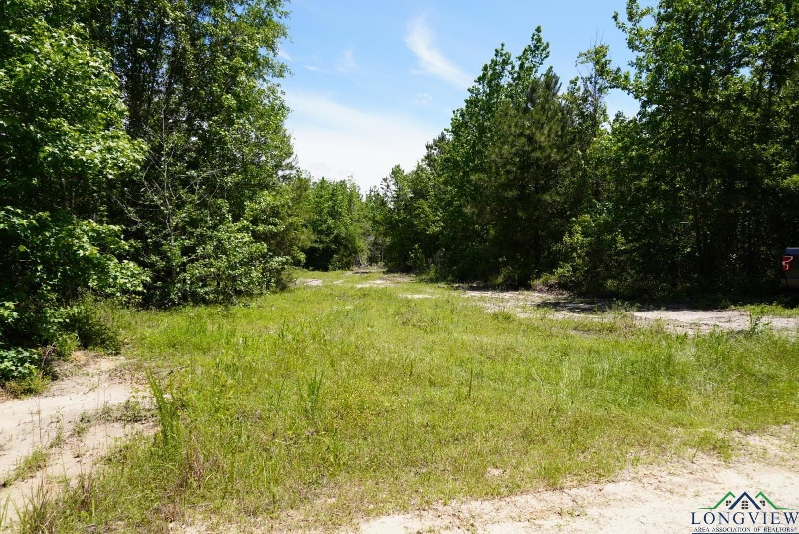 12.72 acres in Marion County - photo 4