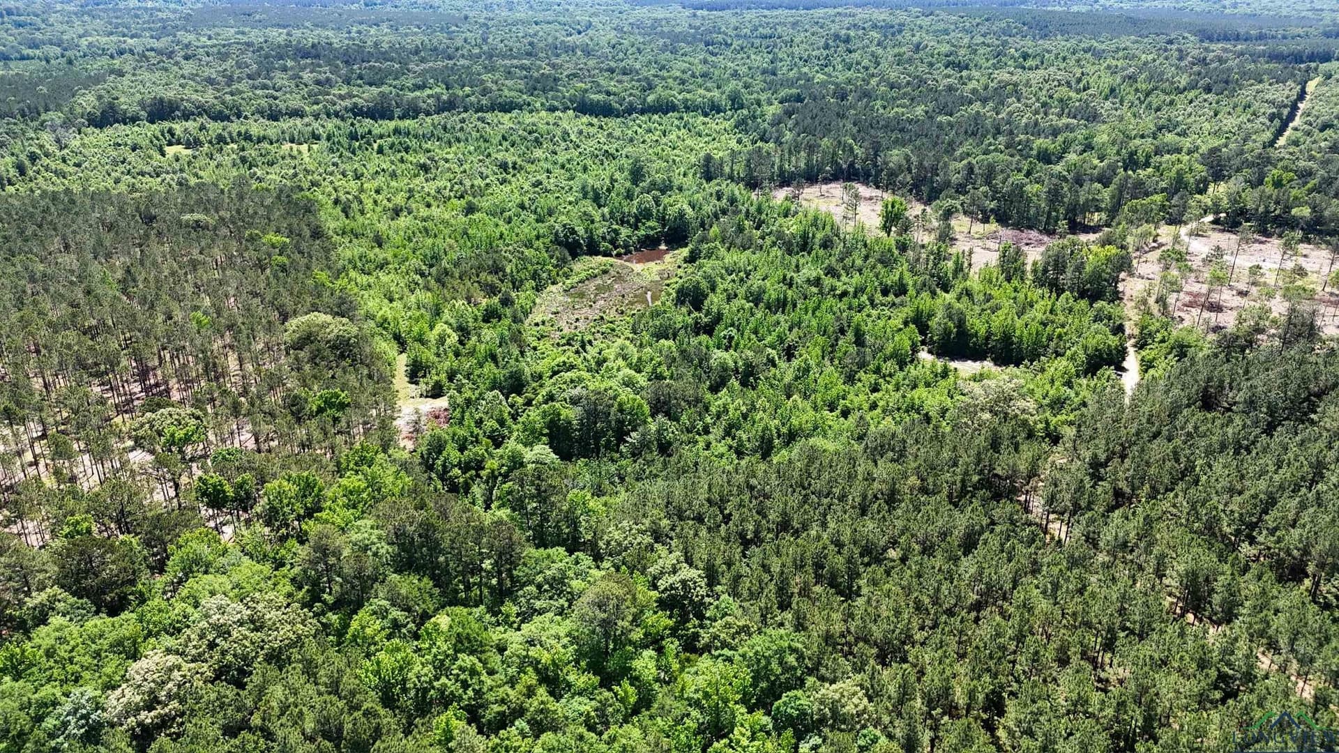 12.72 acres in Marion County - photo 11