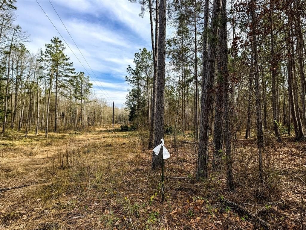 51.54 acres in Rusk County - photo 3