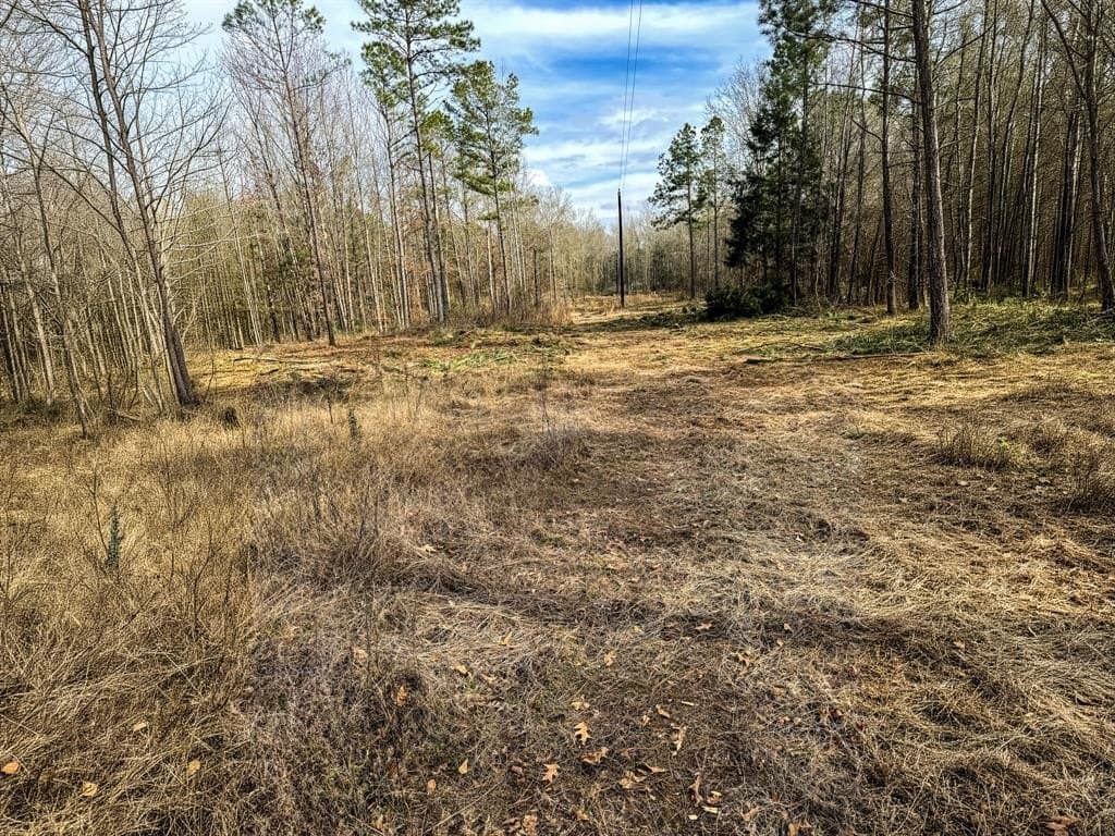 51.54 acres in Rusk County - photo 7