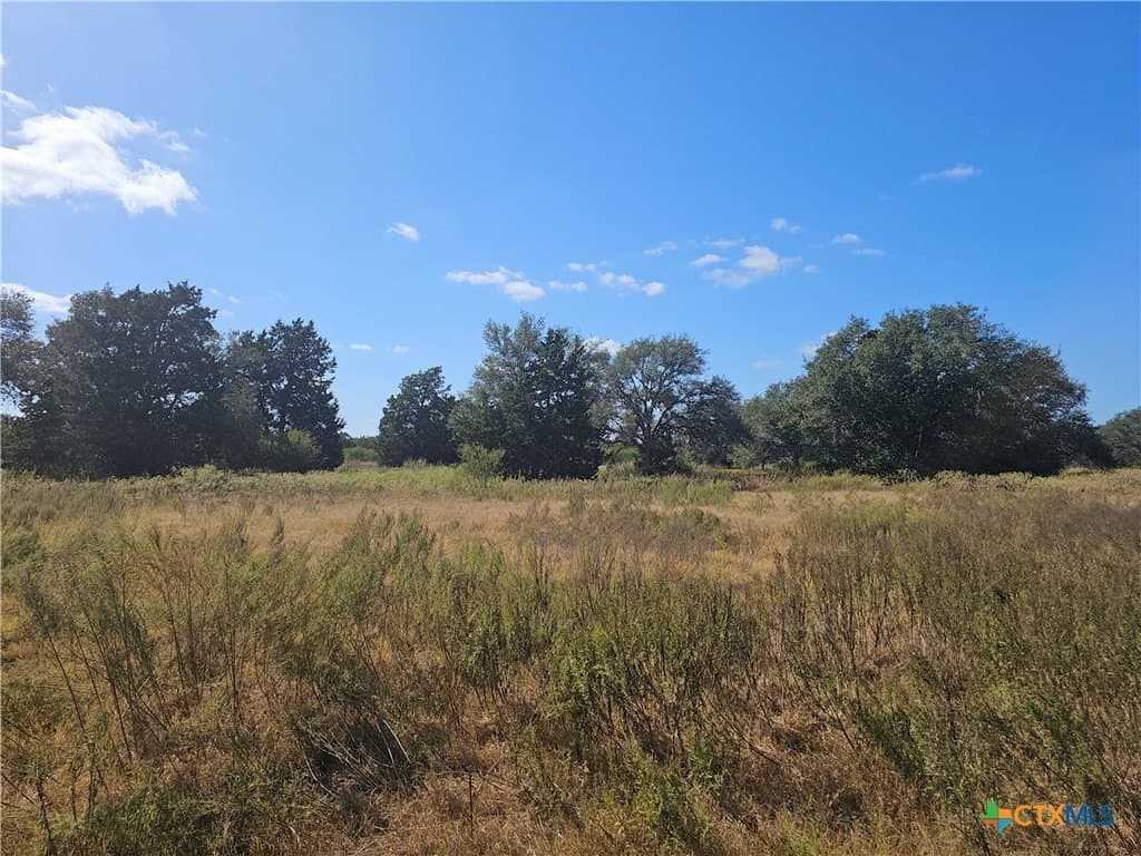 36.95 acres in Goliad County - photo 5