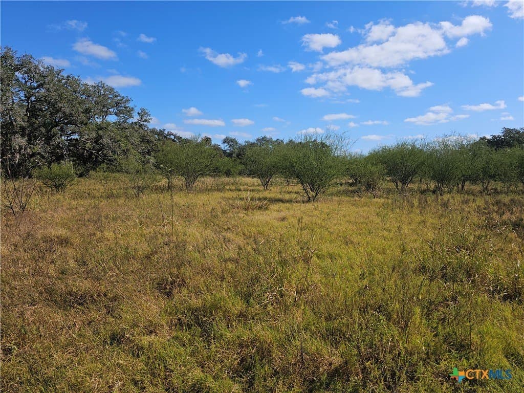 36.95 acres in Goliad County - photo 2