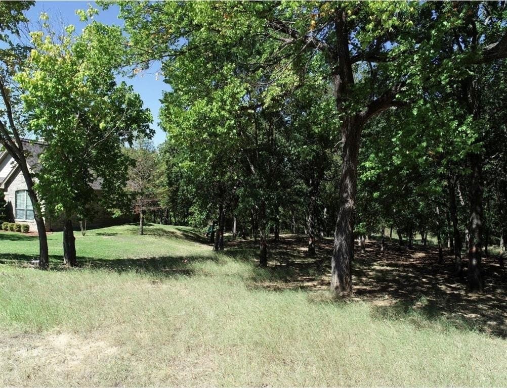 1.09 acres in Parker County - photo 6
